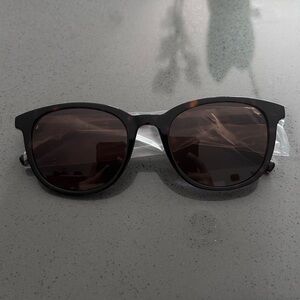 Quince Charlie Dark Brown Tortoise Sunglasses Polarized
